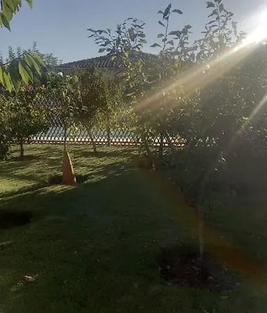 Cosy&sun * Alvarães
