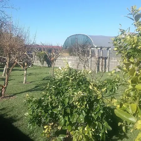 Cosy&sun * Alvarães